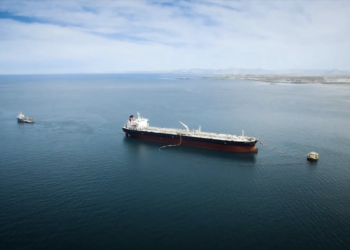 Patagonia se consolida como la segunda región de mayor contribución al comercio exterior del país