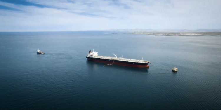 Patagonia se consolida como la segunda región de mayor contribución al comercio exterior del país